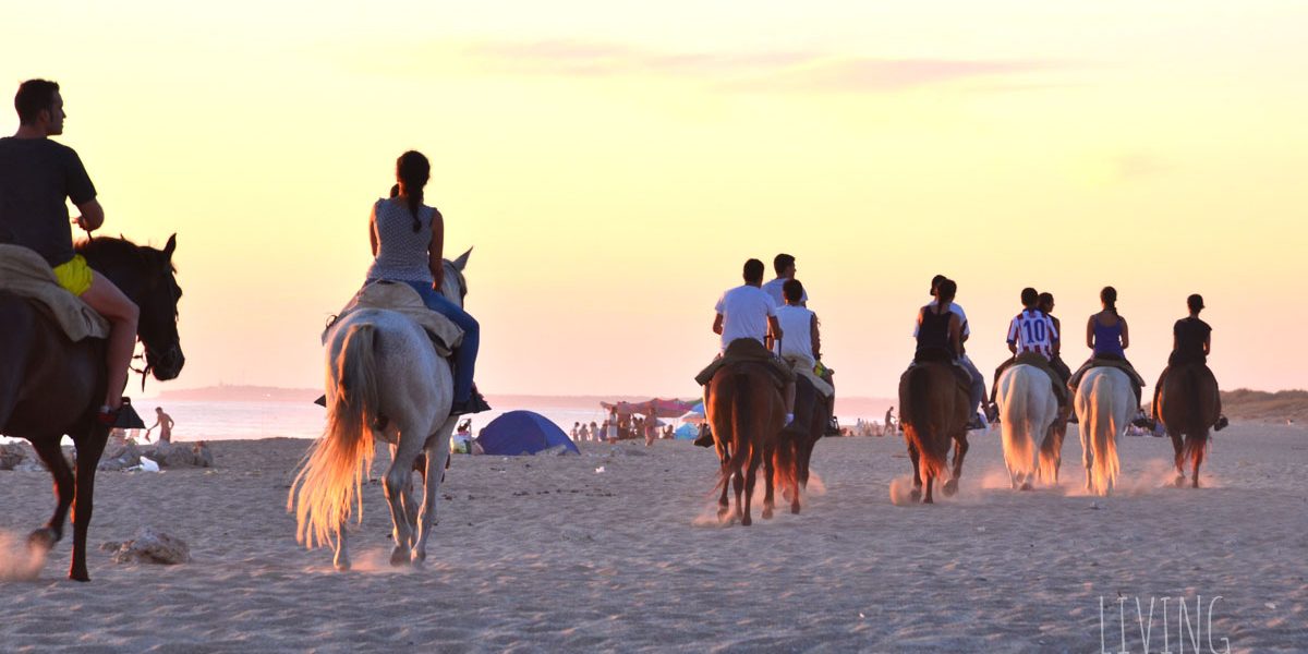 Paseo en caballo por la playa